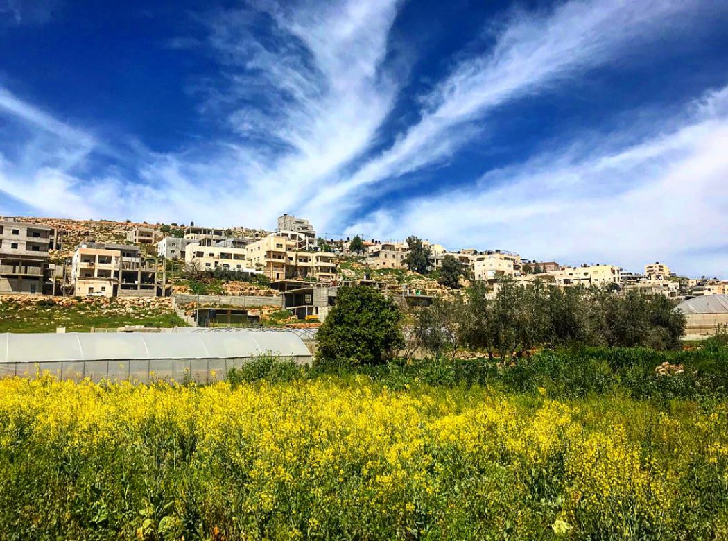 مشهد عام في قرية وادي فوكين، تظهر أجزاء من الأراضي الزراعية، وعدد من بيوت القرية