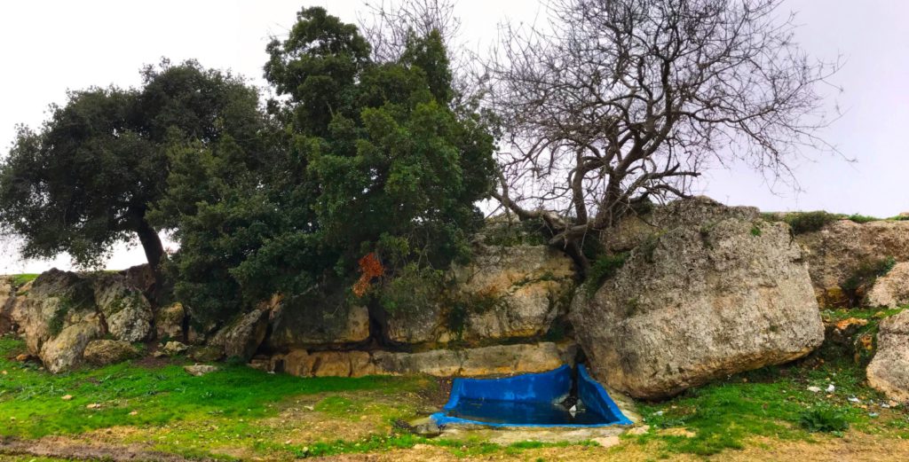 عين ماء تخرج من صخرة بالقُرب من مَقام الشّيخ "سيدي شيبان" من على جبال البيرة الشّرقيّة