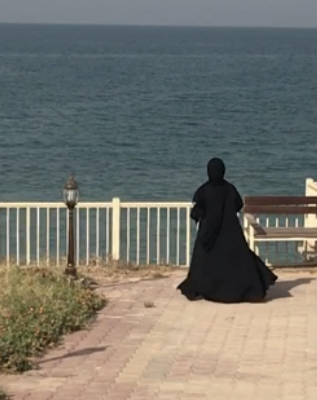 Picture of حصّة السنان