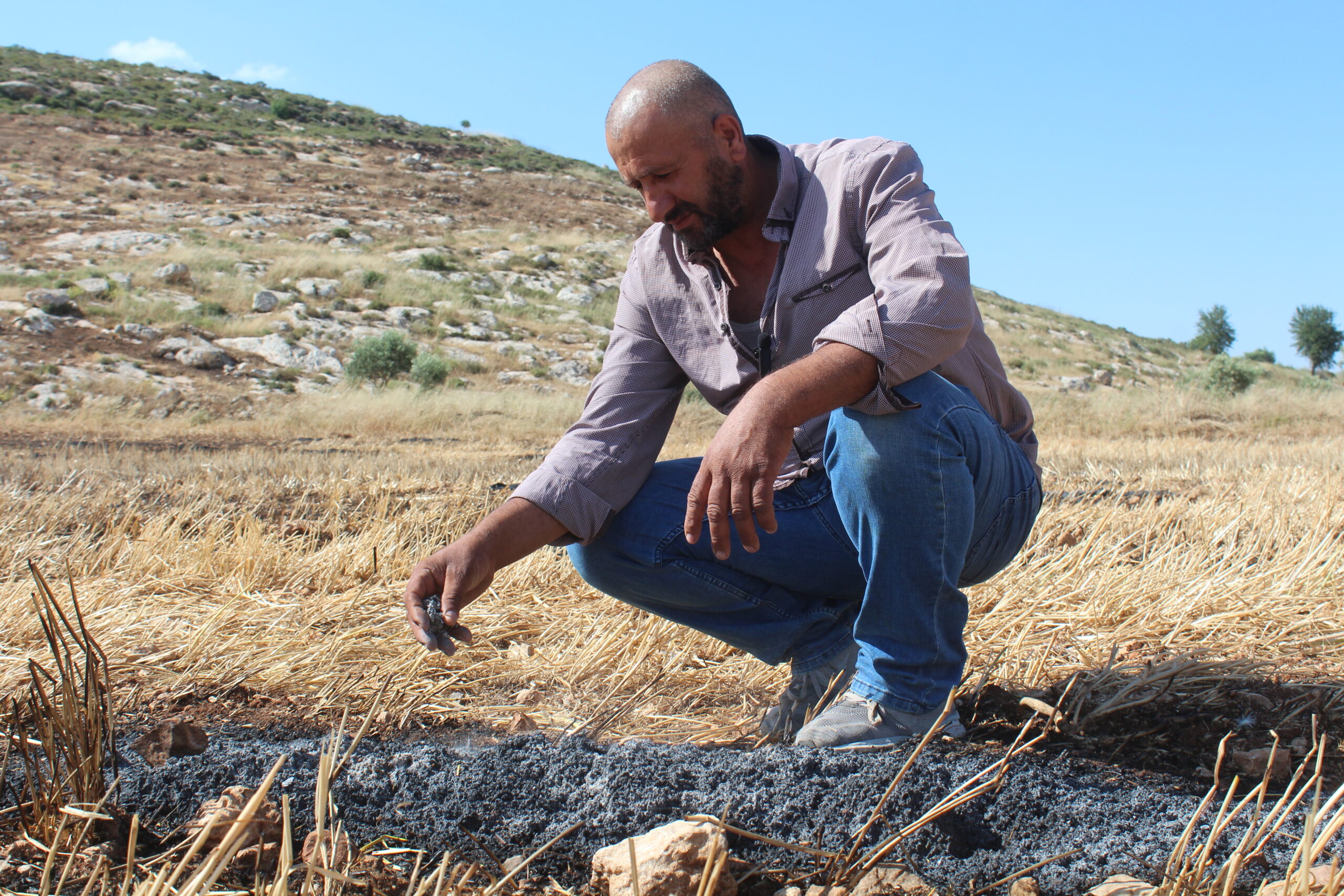 الفلسطيني عودة أبو عليا، من قرية المغير شمال شرق رام الله، ينظر بحسرة إلى آثار الحريق الذي أشعله المستوطنون في حقل القمح الذي يزرعه. (عدسة: شذى حماد).